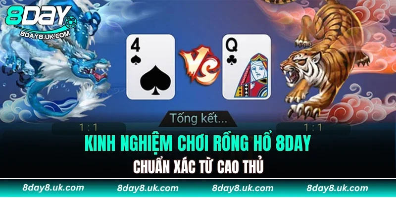Kinh nghiệm chơi rồng hổ 8DAY chuẩn xác từ cao thủ