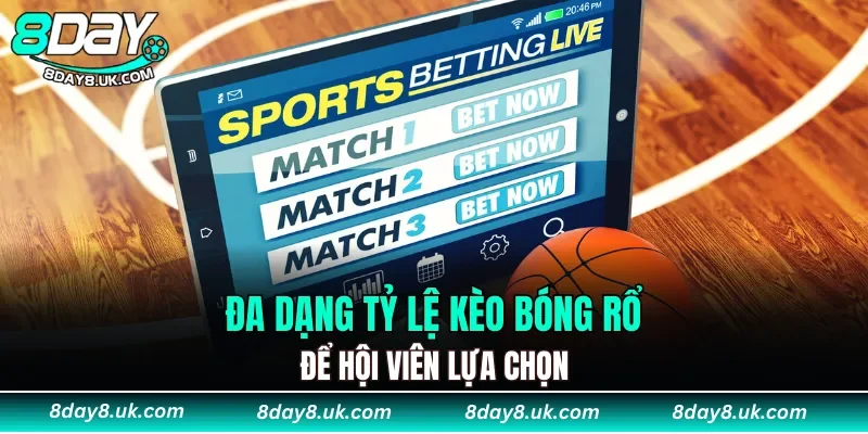 Đa dạng tỷ lệ kèo bóng rổ để hội viên lựa chọn