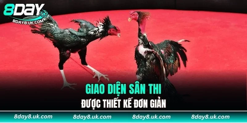 Giao diện sân thi được thiết kế đơn giản